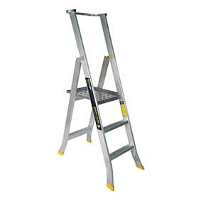 Warthog Platform Ladder