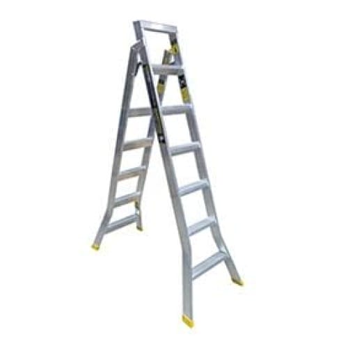 Warthog Dual Purpose Ladder