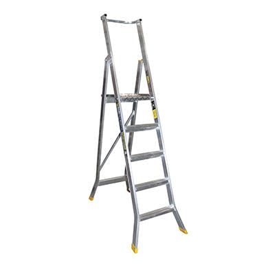 Warthog Platform Ladder