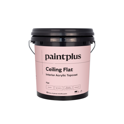 Paint+ Ceiling Flat