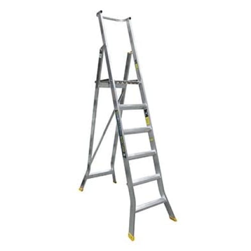 Warthog Platform Ladder