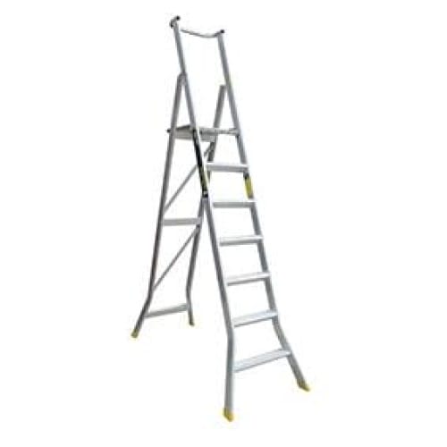 Warthog Platform Ladder