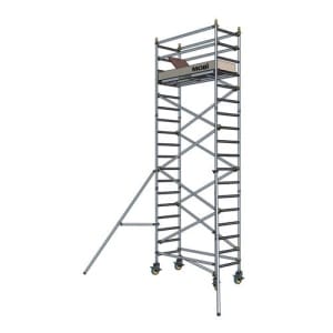 Warthog Dual Purpose Ladder