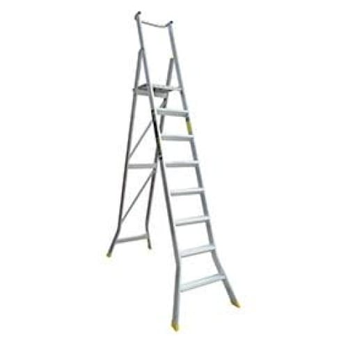 Warthog Platform Ladder