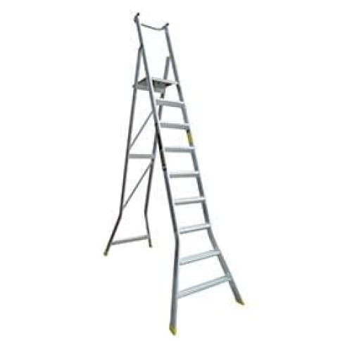 Warthog Platform Ladder
