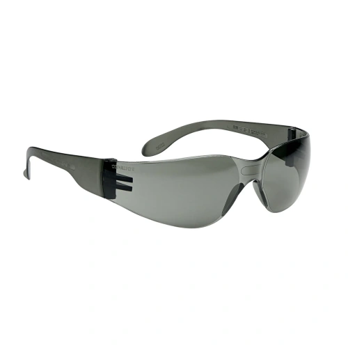Bolle BL100 Safety Glasses