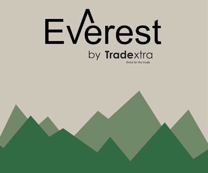 Introducing Everest: Your Ascent to Superior Painting Supplies