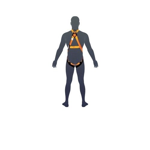 Essential Harness