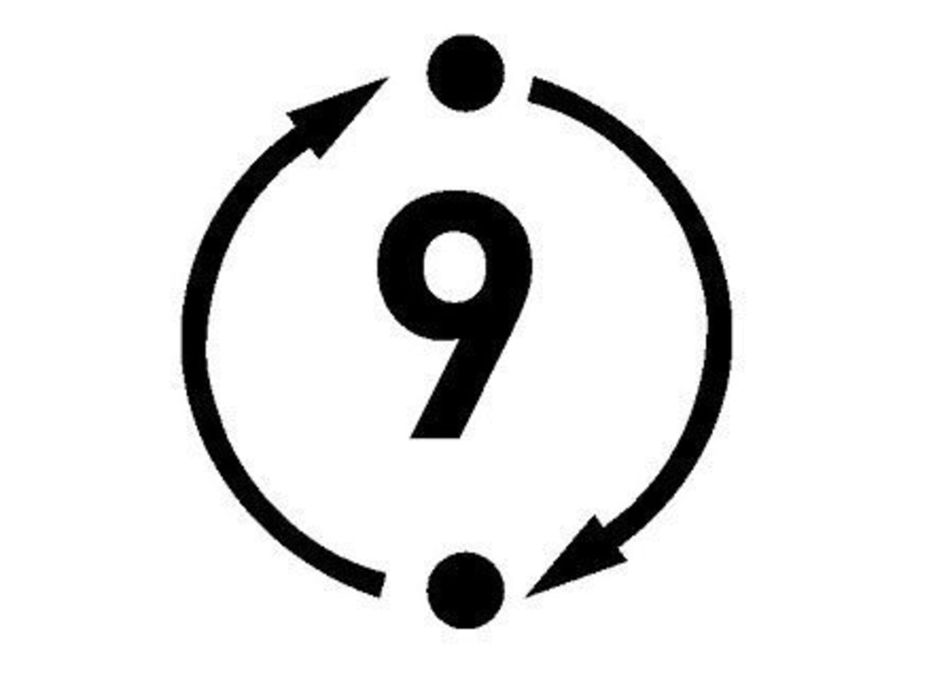 RUPES 150mm Random Orbital Sander 9mm