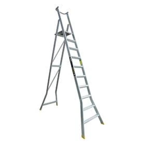 Warthog Platform Ladder